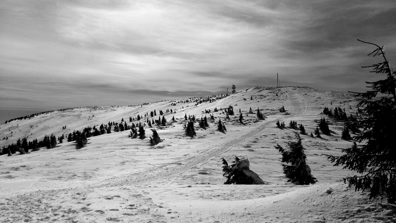 A scenic view of the Transylvanian landscape at dusk.
