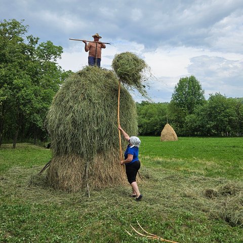 Maramures and Bucovina